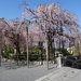 5E Kyoto, Kiyomizudera tempel  _0680