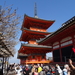 5E Kyoto, Kiyomizudera tempel  _0699