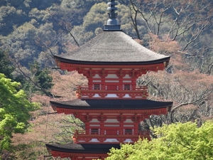 5E Kyoto, Kiyomizudera tempel  _0709