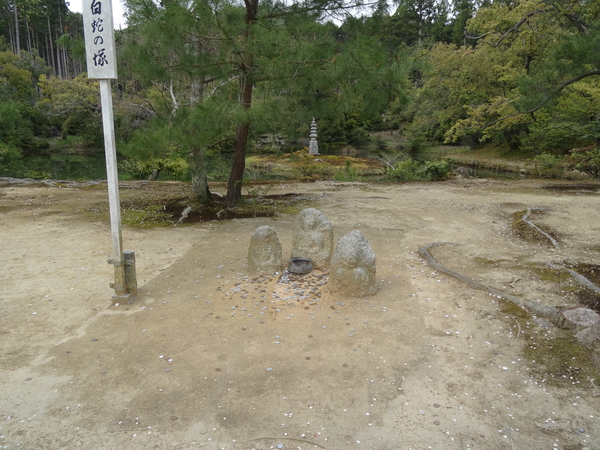 5I Kyoto, Gouden Paviljoen _0816