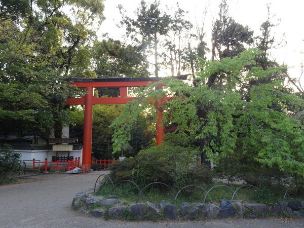 5M Kyoto, Gion Corner  _0858