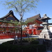 5P Kyoto, Fushimi Shrine _1147