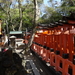 5P Kyoto, Fushimi Shrine _1183