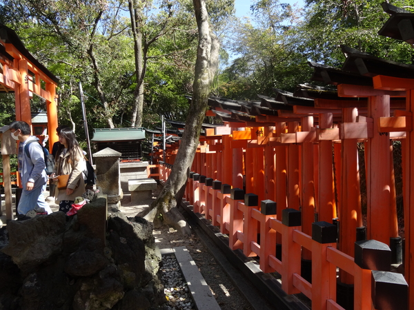 5P Kyoto, Fushimi Shrine _1183