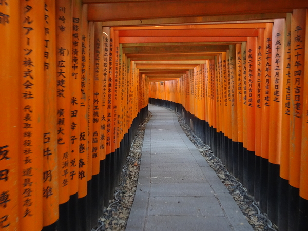 5P Kyoto, Fushimi Shrine _1197