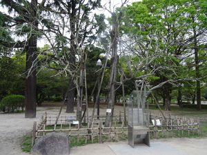 6L Peace memorial park _1121