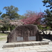 7A Nara, Todaji tempel  _1210