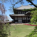 7A Nara, Todaji tempel  _1228
