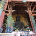 7A Nara, Todaji tempel  _1236