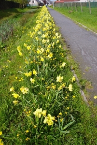 bloemen wandeling (63)