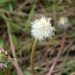 bloemen wandeling (90)