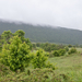 0002-landschap