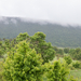 0001-landschap