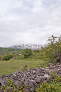 0041-campo-giove