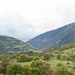0044-campo-giove