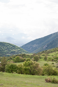 0044-campo-giove