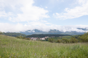 0046-campo-giove