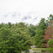 0090-landschap