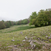 0088-landschap