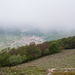0090-landschap