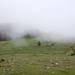 0097-landschap