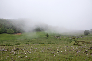 0097-landschap