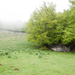 0101-landschap