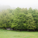 0102-landschap