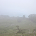 0122-landschap
