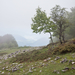 0124-landschap