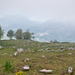 0125-landschap