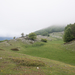 0150-landschap