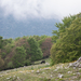 0160-landschap