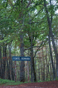 0046-fonte-romana