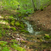 0040-beek