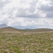 0128-landschap