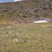 0154-landschap-met-gentianen