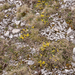 0181-landschap-bord-campo-imperatore