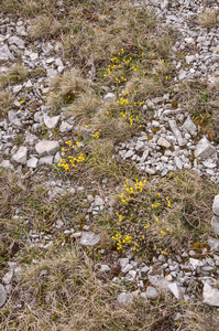 0181-landschap-bord-campo-imperatore