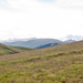 0239-landschap