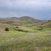 0259-landschap