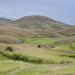 0260-landschap