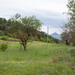 0285-landschap-calascio-piana