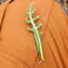 0297-plant-onbekend-3