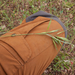 0338-Bromus-diandrus-hoge-dravik