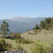 0005-landschap