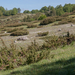 0023-landschap