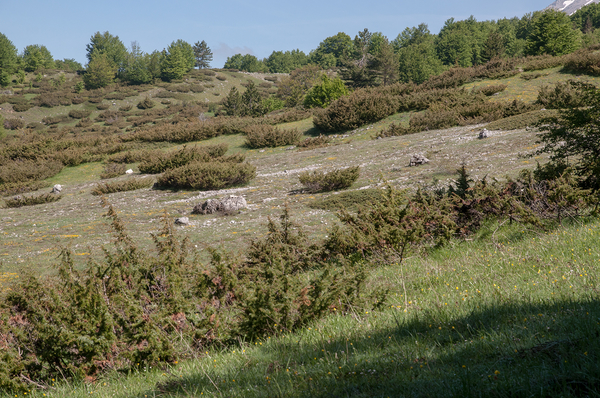 0023-landschap