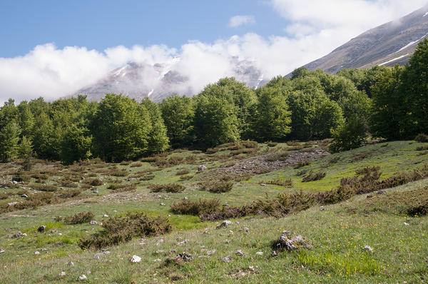 0025-landschap