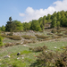 0027-landschap